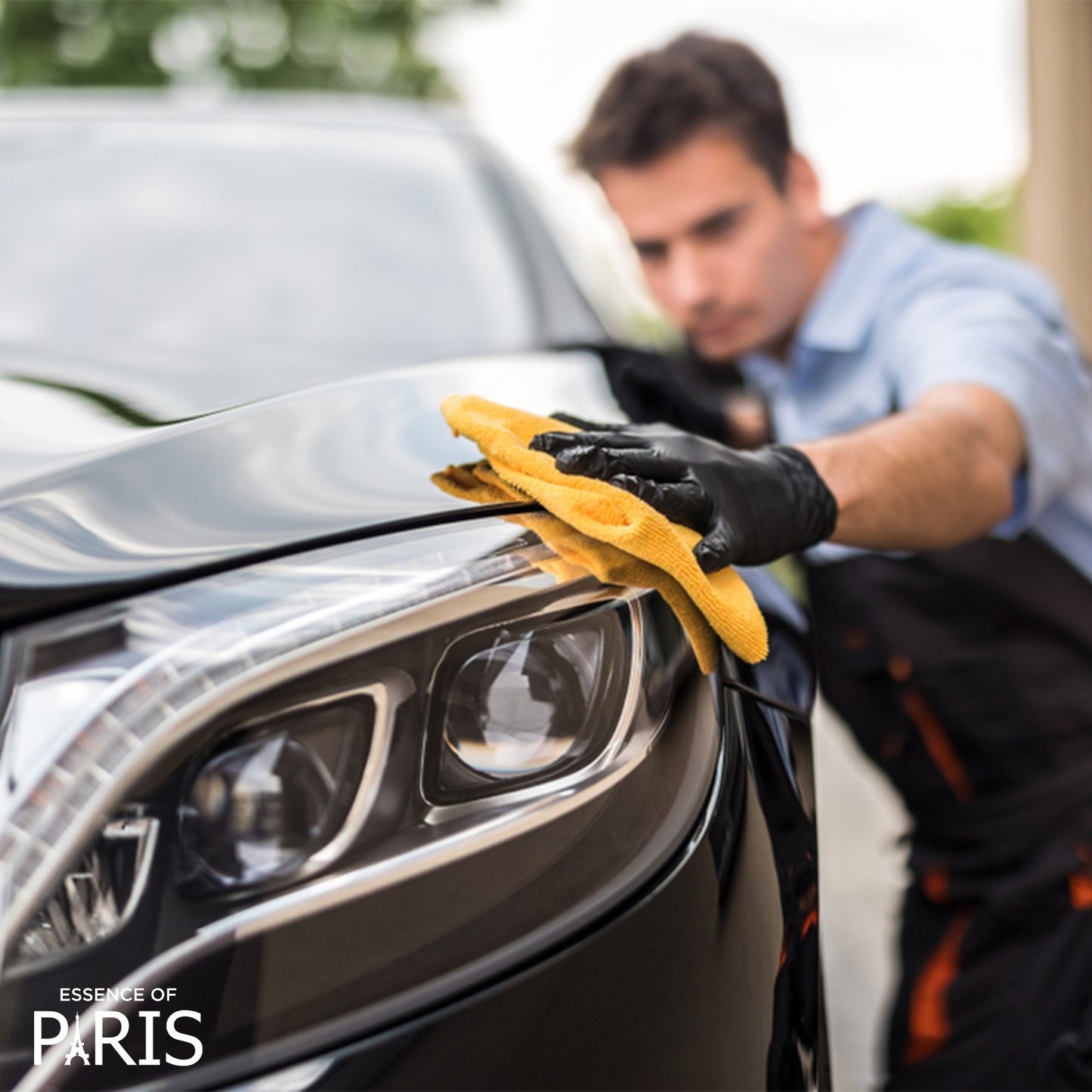 Glass Cleaner + Microfiber Cleaning Cloth + Car Air Freshener